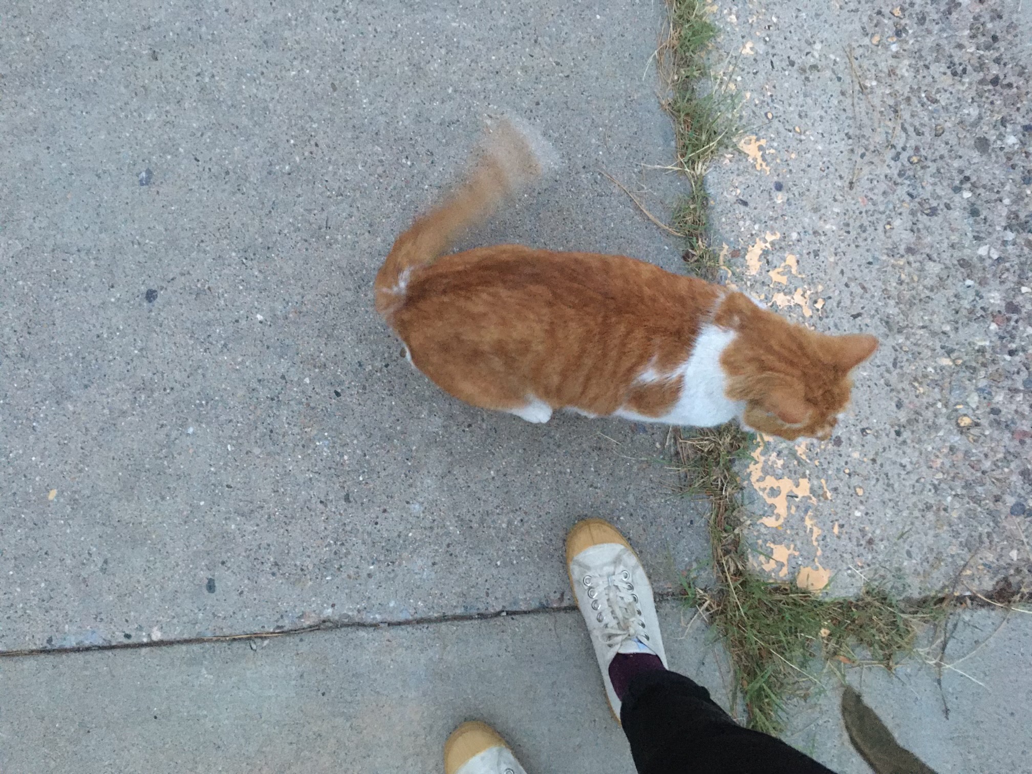 Photo 01